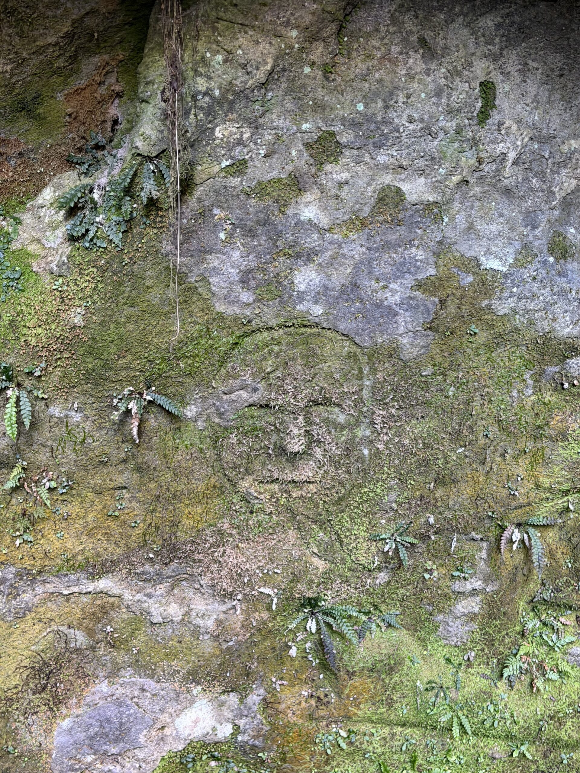 Rotorua