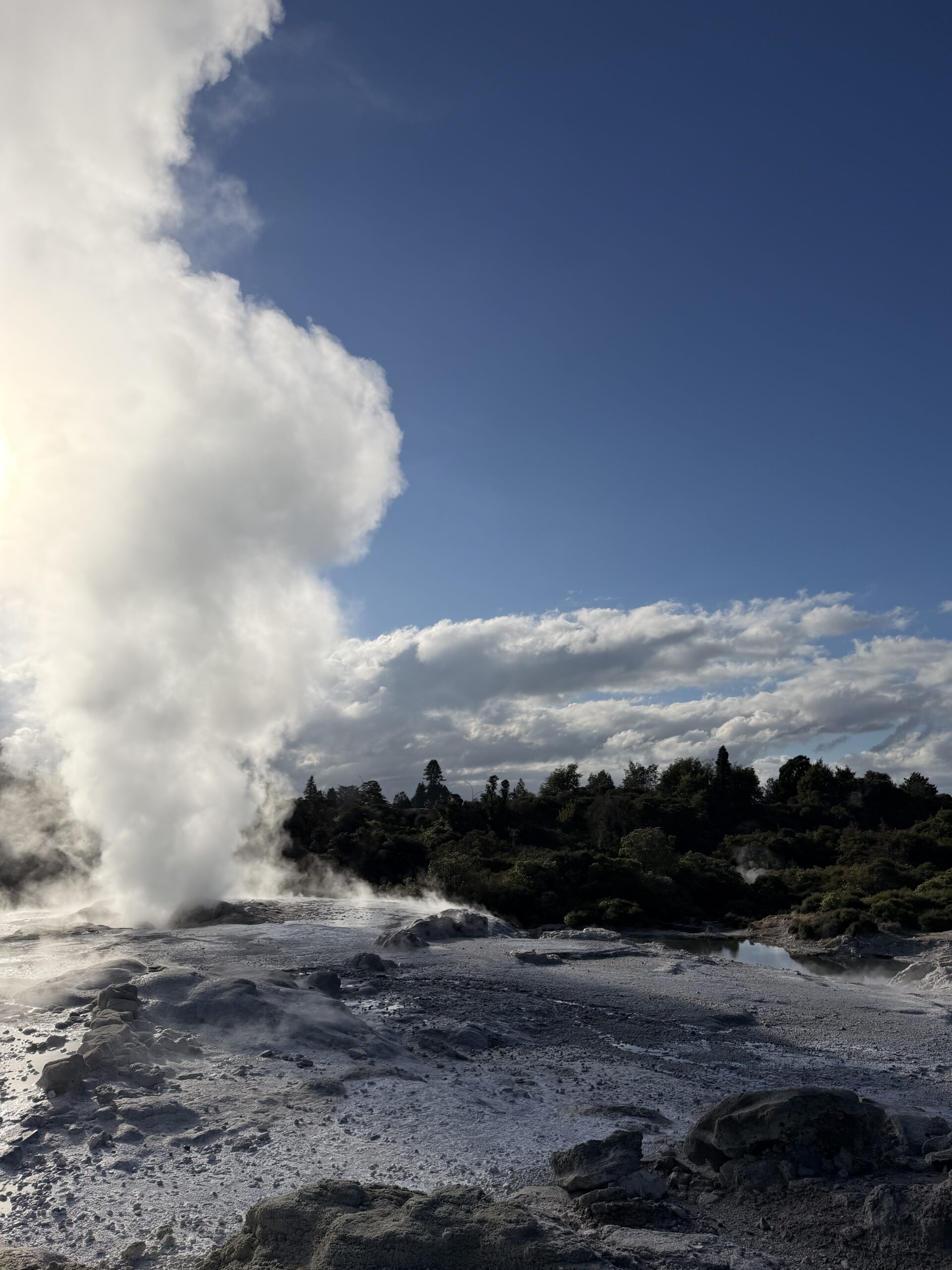 Geysire von Rotorua