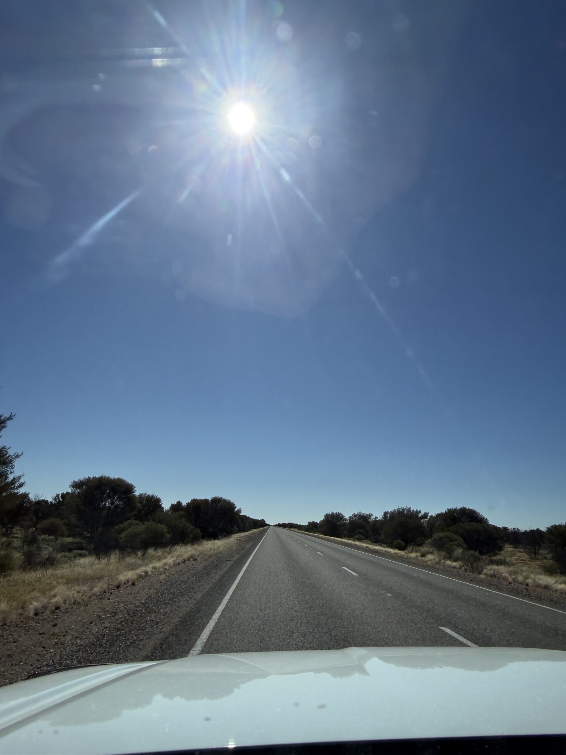 Von Coober Pedy zum Uluru (750km)