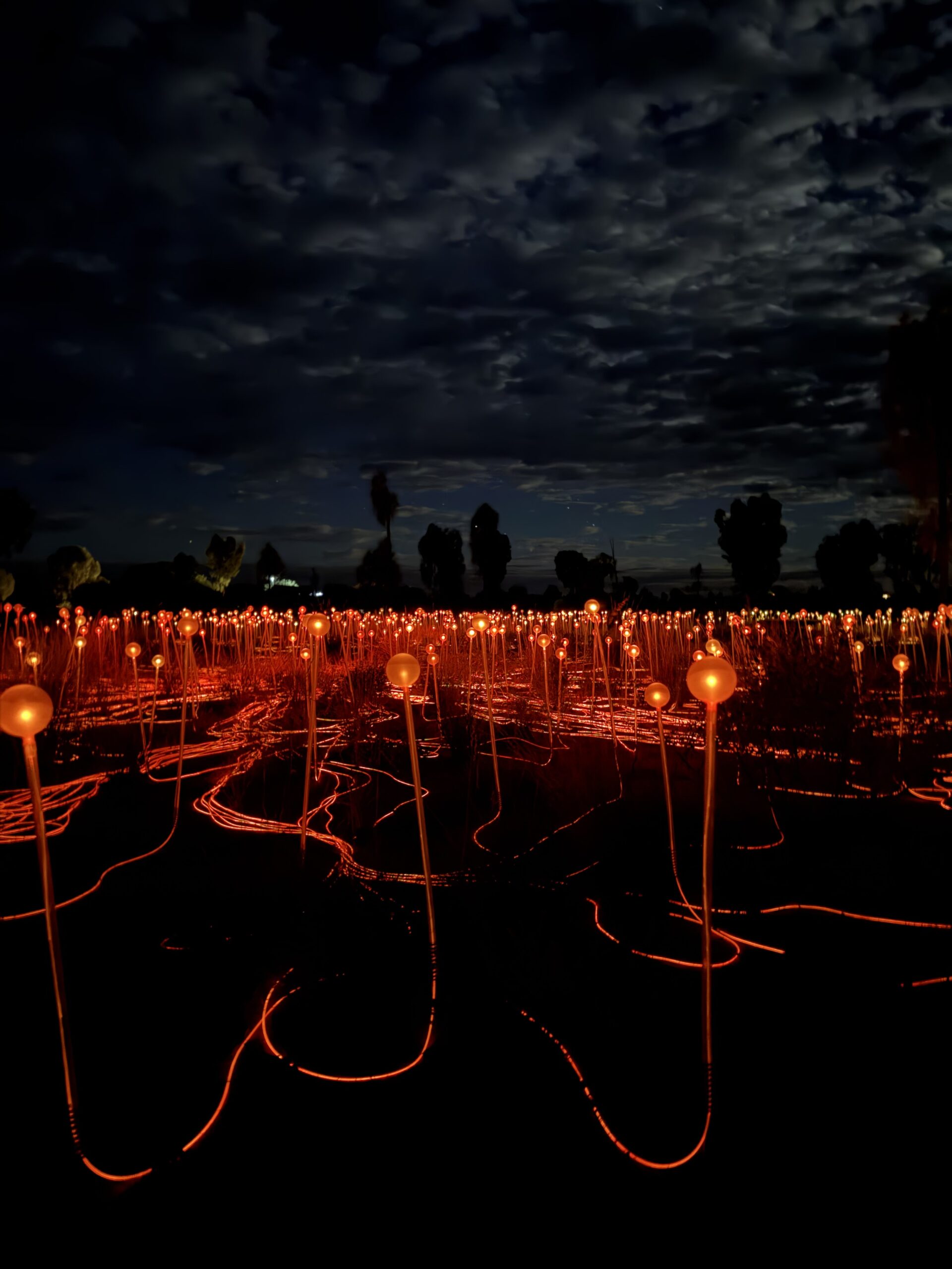 Dinner at the Field of Lights