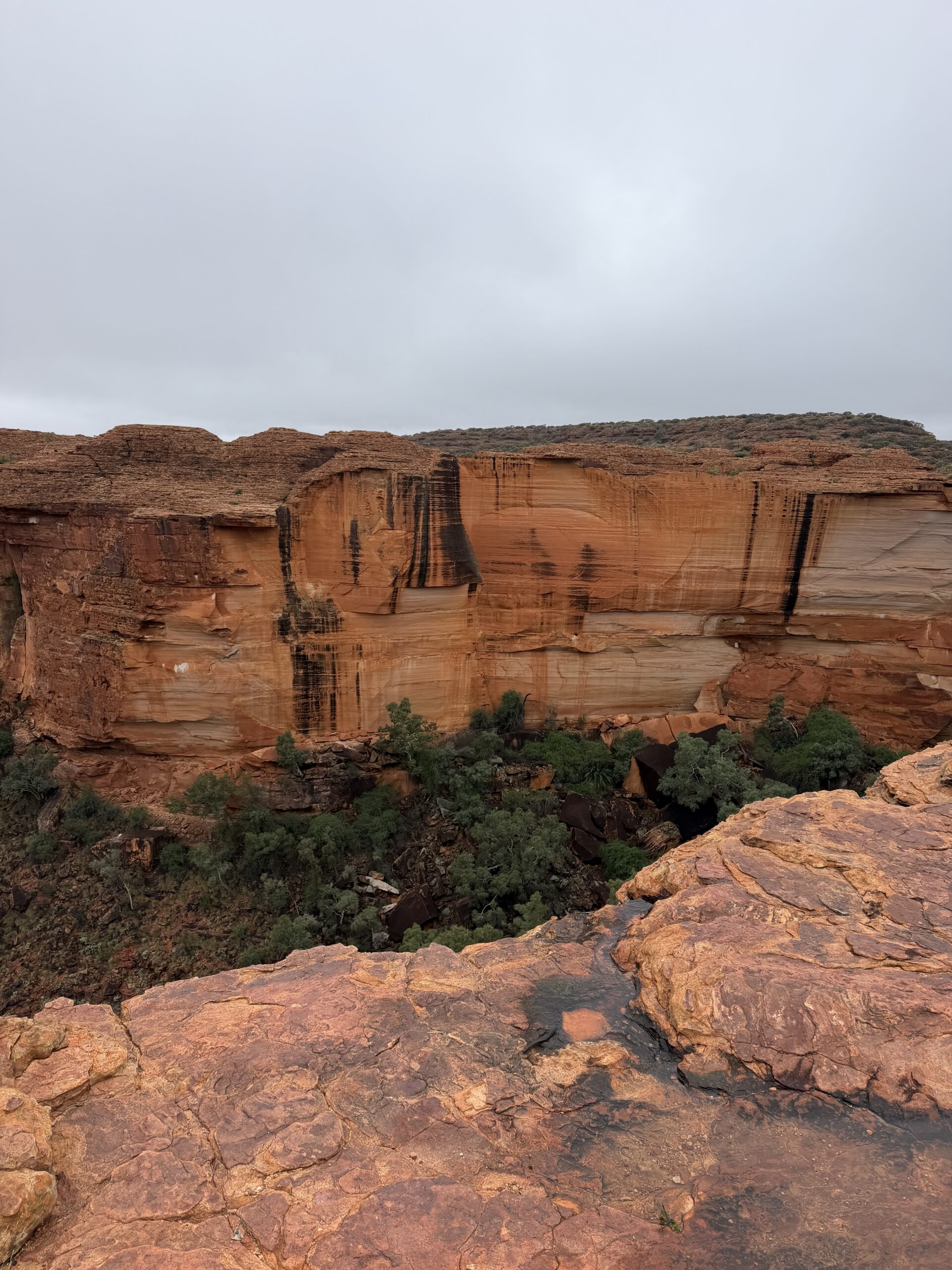 Kings Canyon
